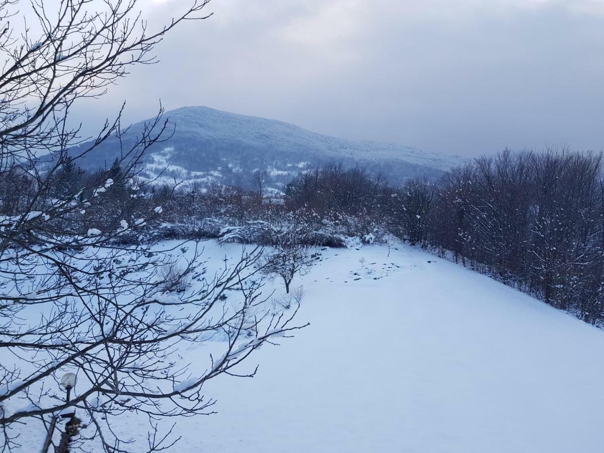 House Anamarija Hotel Селище Дрезницко Екстериор снимка